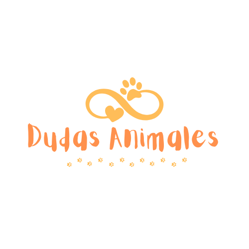 Dudas Animales